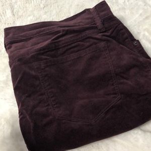 Purple boot cut corduroys